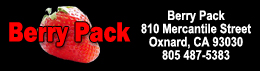 Berry Pack